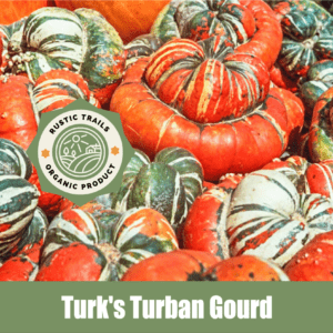 Turk's Turban Gourd (Cucurbita maxima)